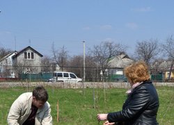 Actions “Clean Environment” and “Plant a Tree”